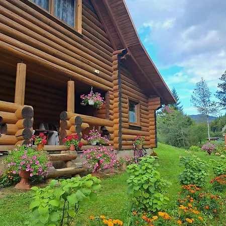 Stream House Dom wakacyjny