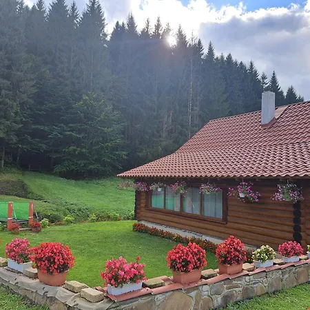 Stream House *
