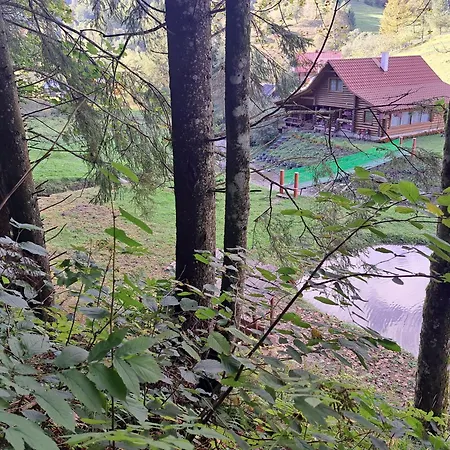 Stream House * Lopushnoye