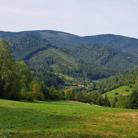 Stream House Holiday home Lopushnoye