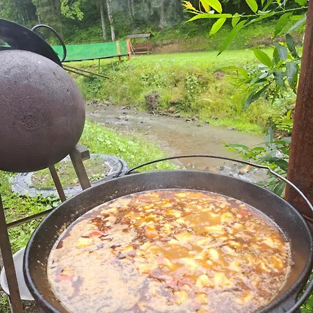 Stream House * Lopushnoye
