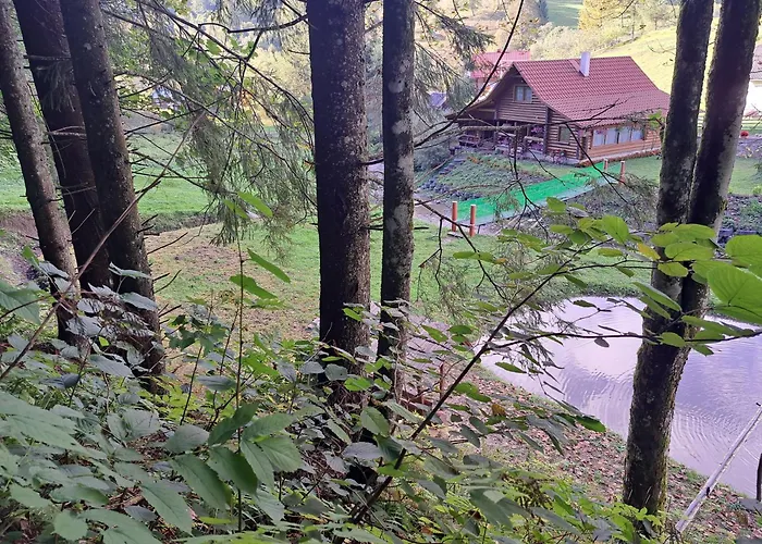 Stream House * Lopushnoye
