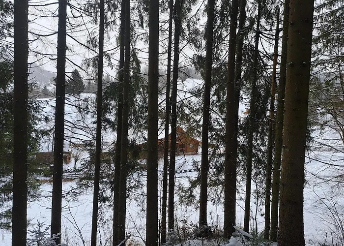 Dom wakacyjny Stream House Lopushnoye