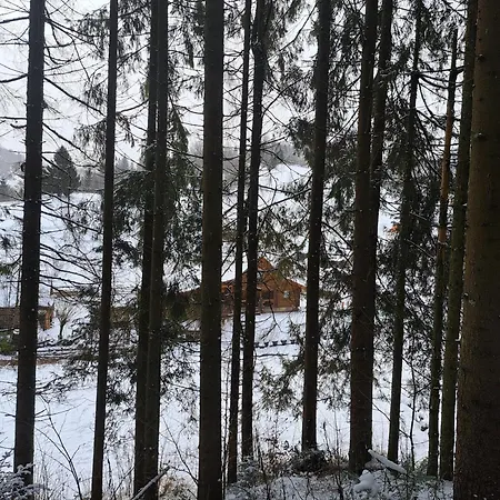 Holiday home Stream House Lopushnoye